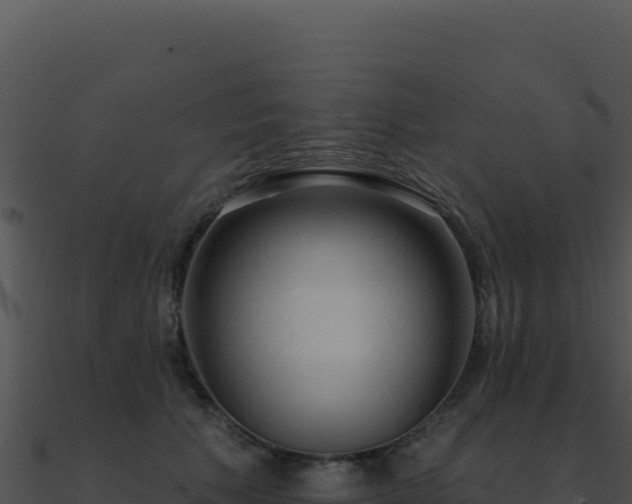 X0000091000609200708021602