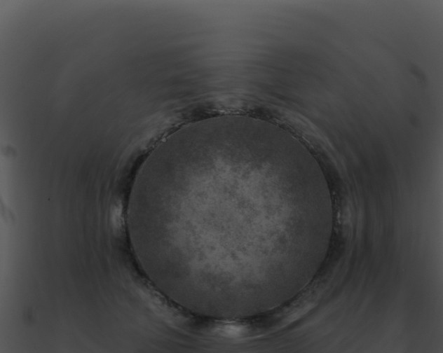 X0000091000610200708021602