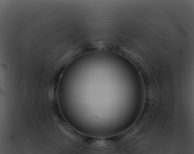 X0000091000611200708021602