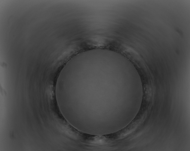 X0000091000612200708021602