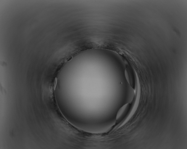 X0000091000613200708021602
