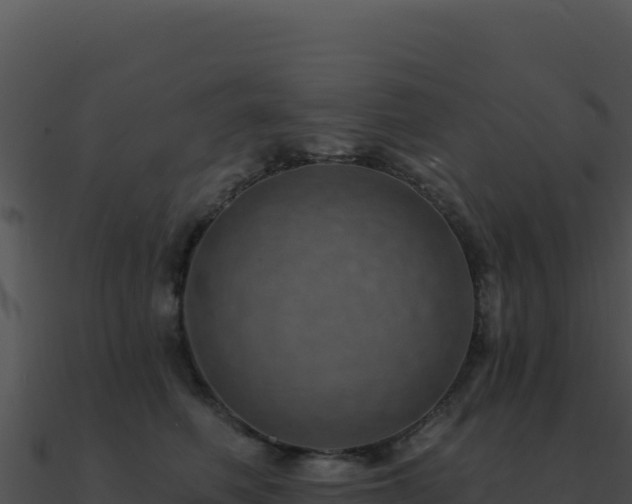 X0000091000614200708021602