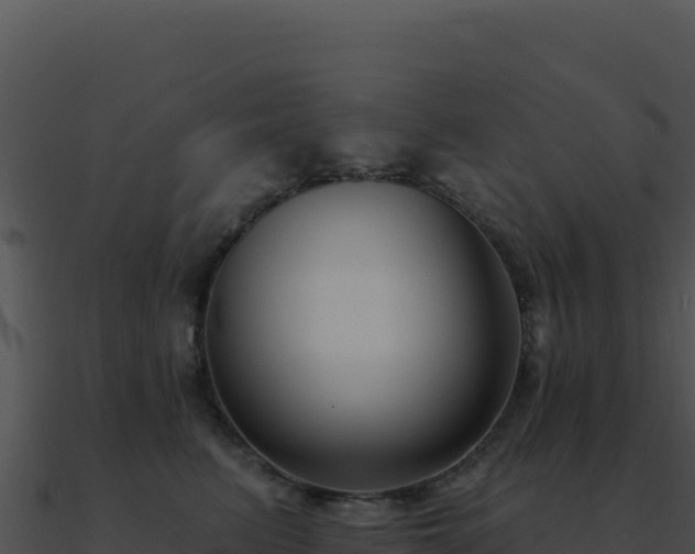 X0000091000615200708021602