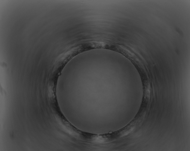 X0000091000616200708021602