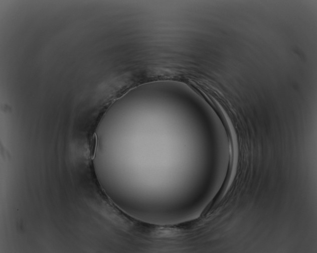 X0000091000617200708021602