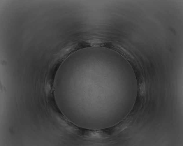 X0000091000618200708021602