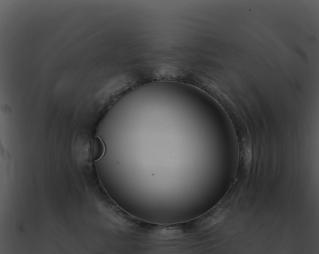 X0000091000619200708021602