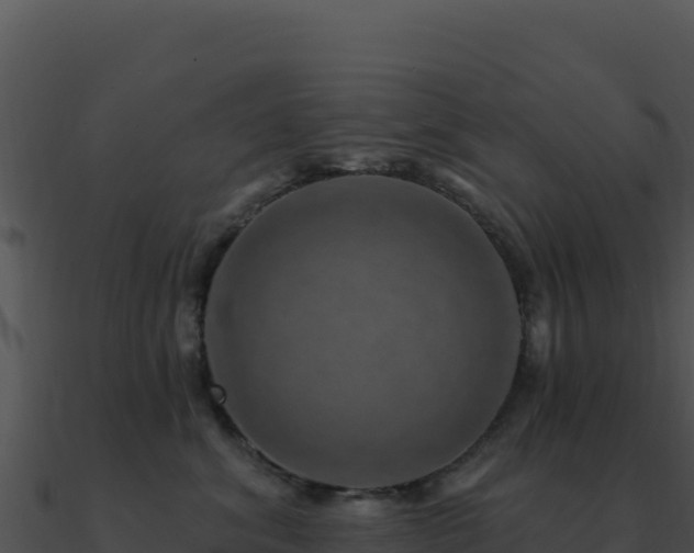 X0000091000620200708021602