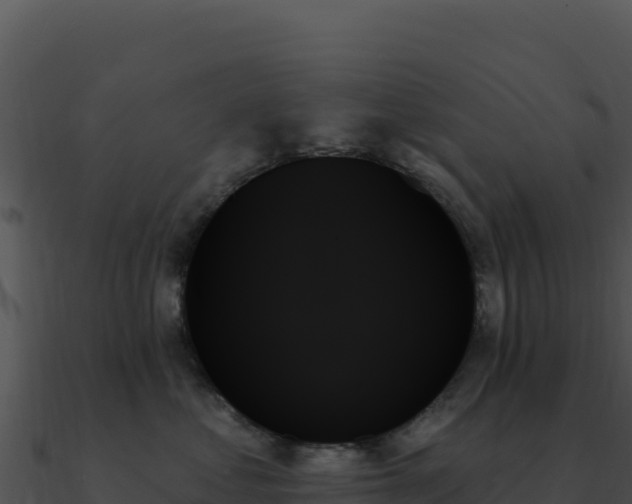X0000091000621200708021602