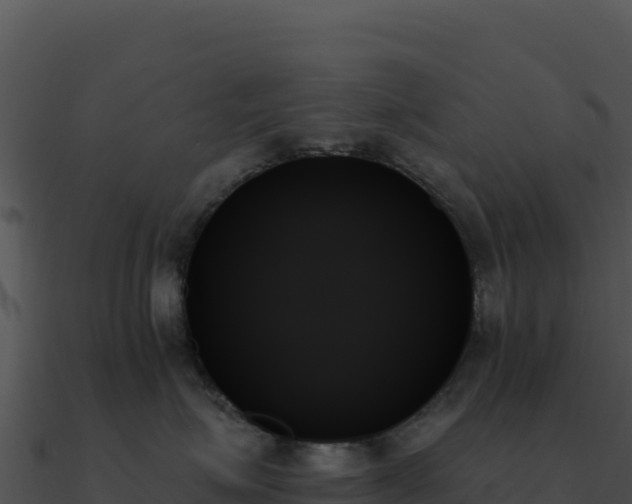 X0000091000623200708021602