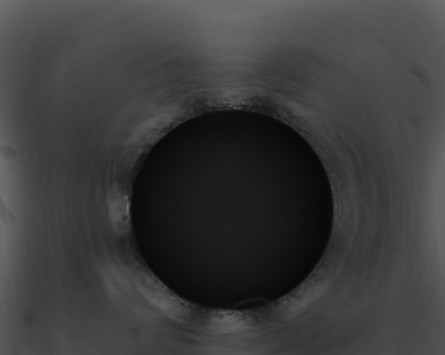 X0000091000624200708021602