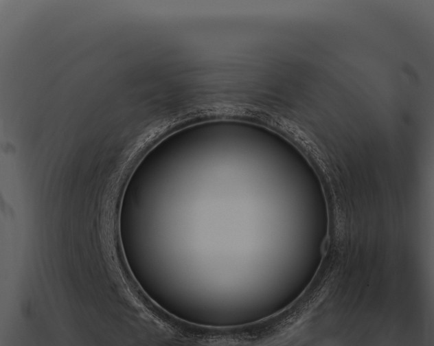 X0000091000625200708021601