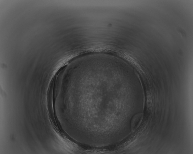 X0000091000626200708021601