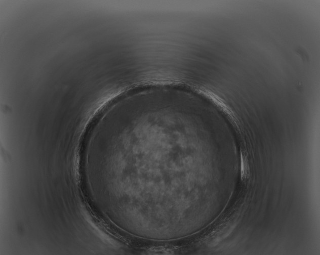 X0000091000627200708021601