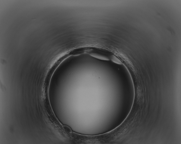 X0000091000628200708021601