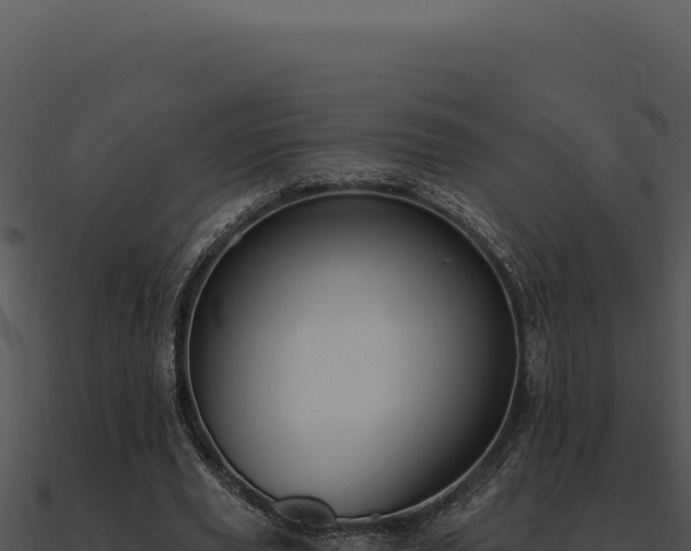 X0000091000629200708021601