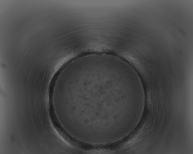 X0000091000630200708021601