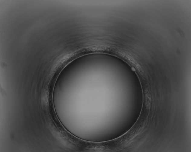 X0000091000631200708021601