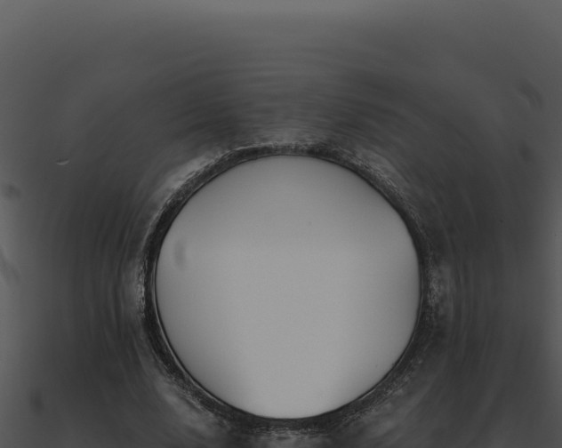 X0000091000632200708021601