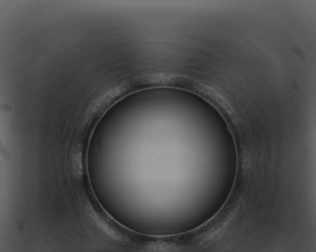 X0000091000633200708021601