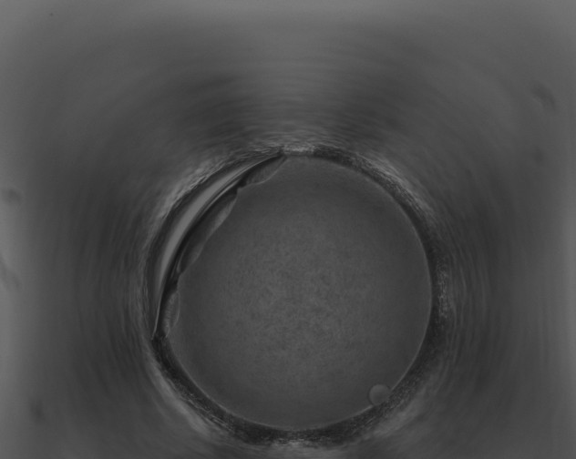 X0000091000634200708021601