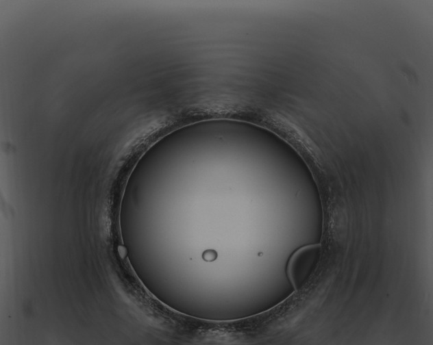 X0000091000635200708021601