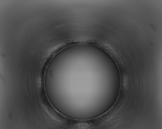 X0000091000636200708021601