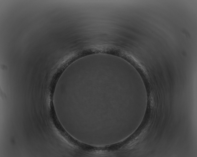 X0000091000637200708021601