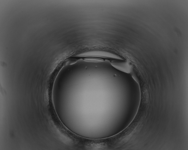 X0000091000638200708021601