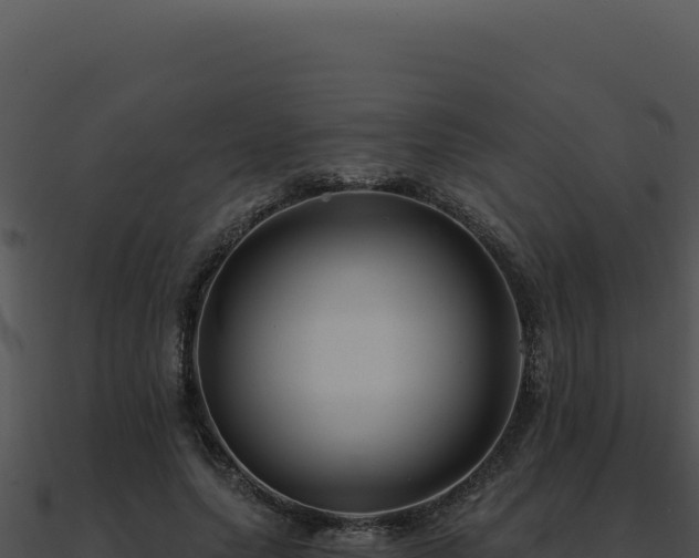 X0000091000639200708021601