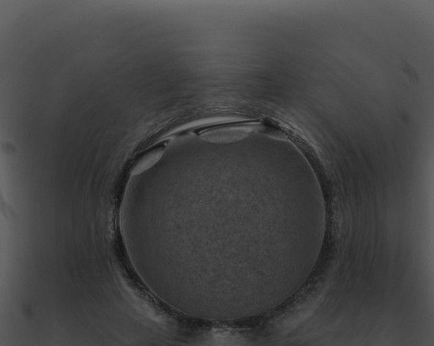 X0000091000641200708021601