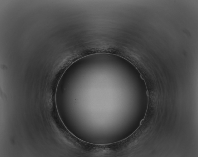 X0000091000642200708021601