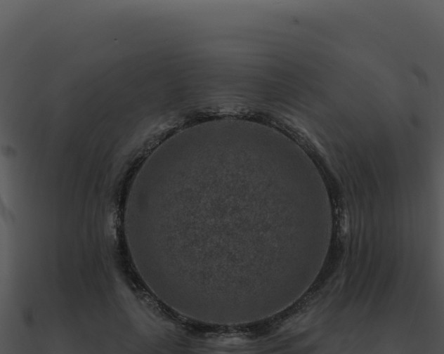 X0000091000643200708021601