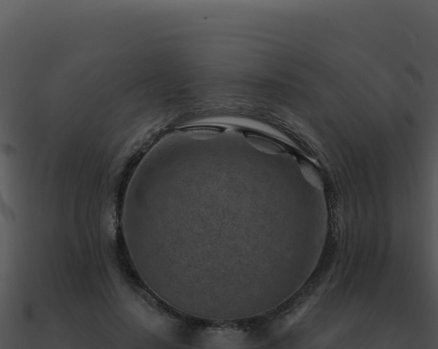 X0000091000644200708021601