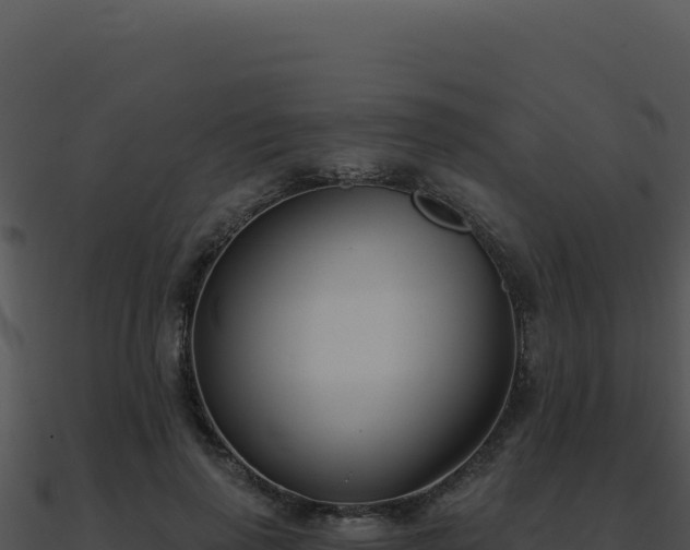 X0000091000645200708021601