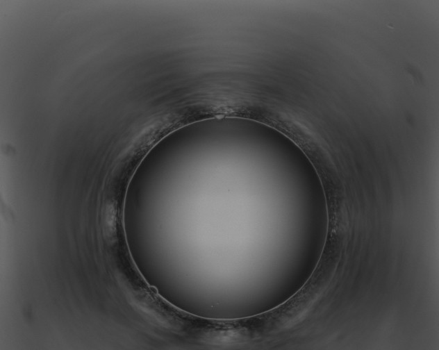 X0000091000646200708021601