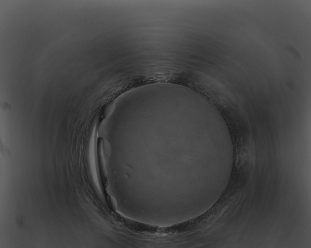X0000091000647200708021601