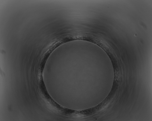 X0000091000648200708021601