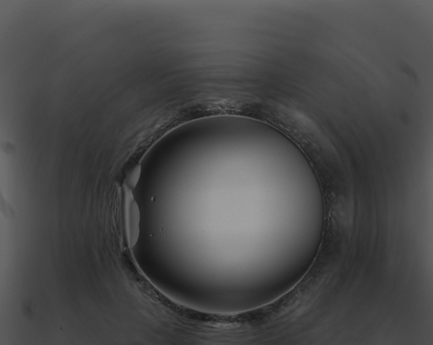 X0000091000649200708021601