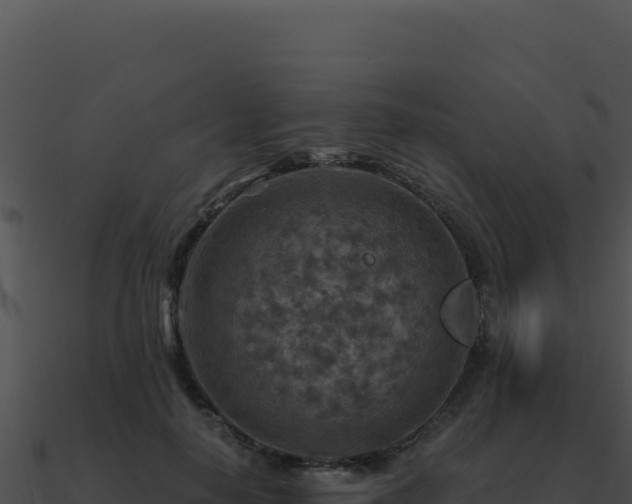 X0000091000650200708021601