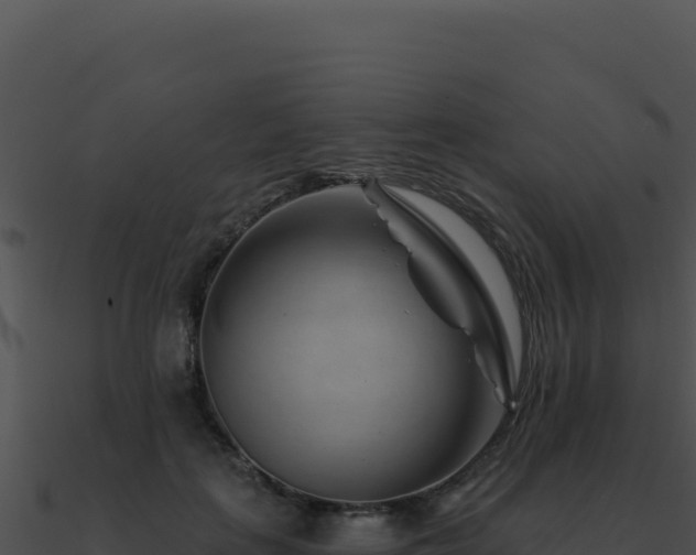 X0000091000651200708021601