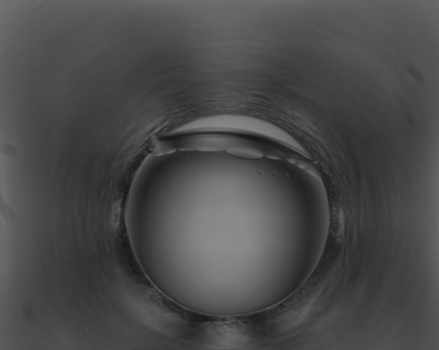 X0000091000652200708021601