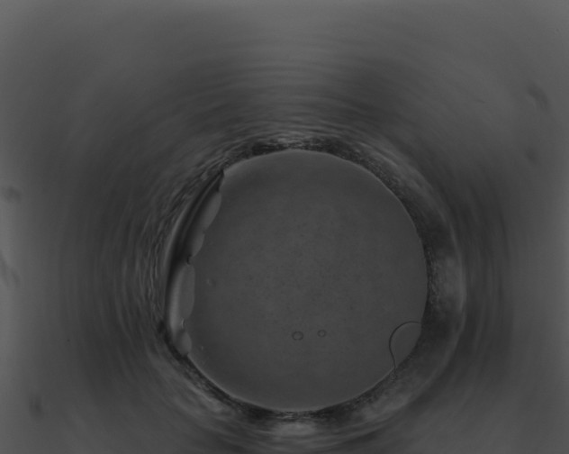 X0000091000653200708021601