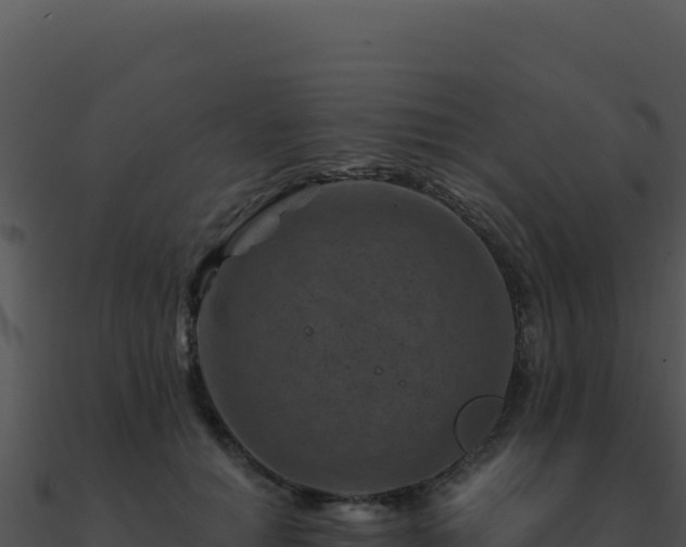 X0000091000654200708021601