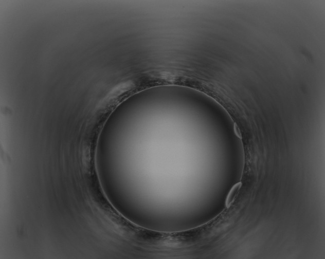 X0000091000656200708021601