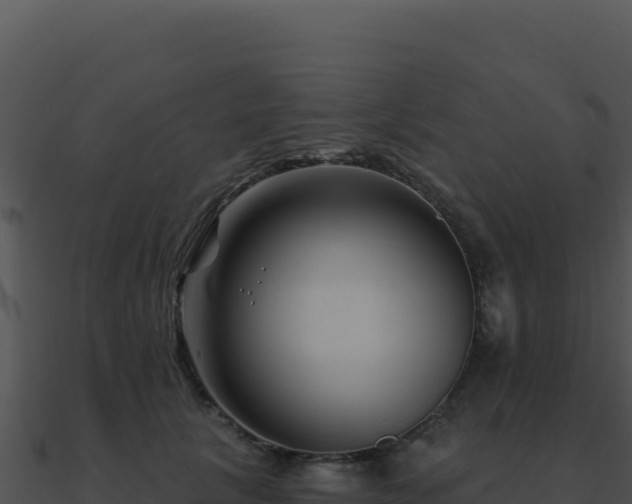 X0000091000657200708021601
