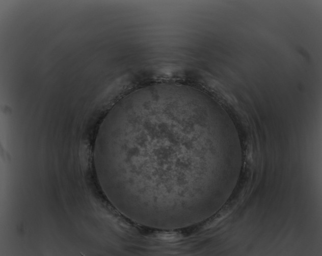 X0000091000659200708021601