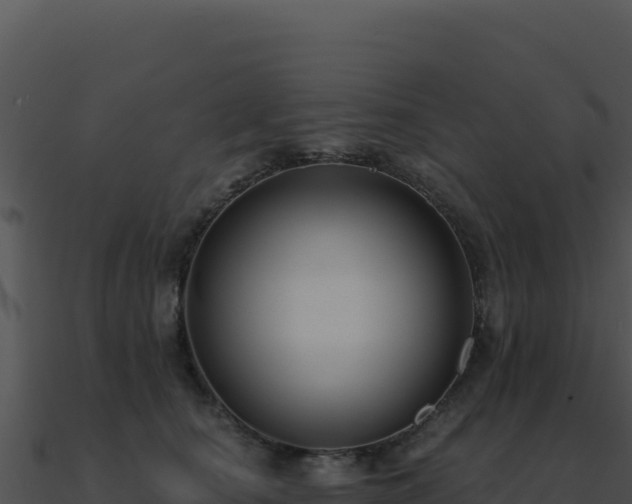 X0000091000660200708021601
