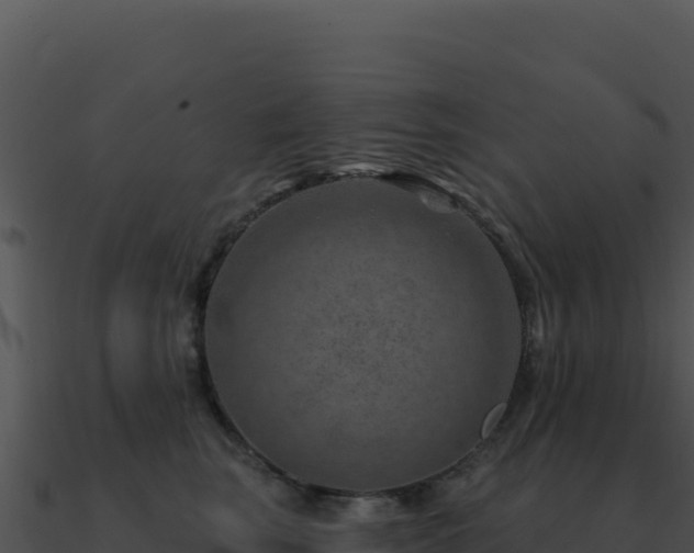 X0000091000663200708021601