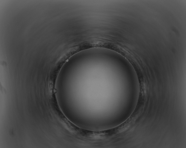 X0000091000664200708021601
